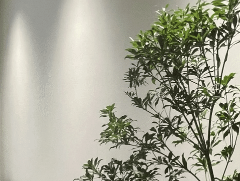 墻面超會(huì)搭為愛(ài)高定家丨卡百利藝術(shù)涂料刷出朋友都羨慕的神仙雅居