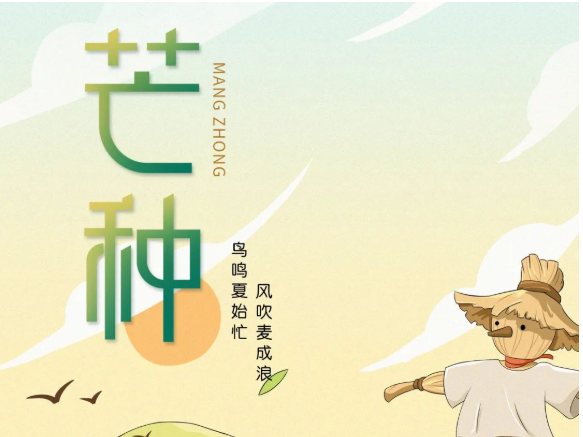 卡百利藝術(shù)涂料-二十四節(jié)氣色彩丨芒種，穗色盈仲夏，美滿正此時