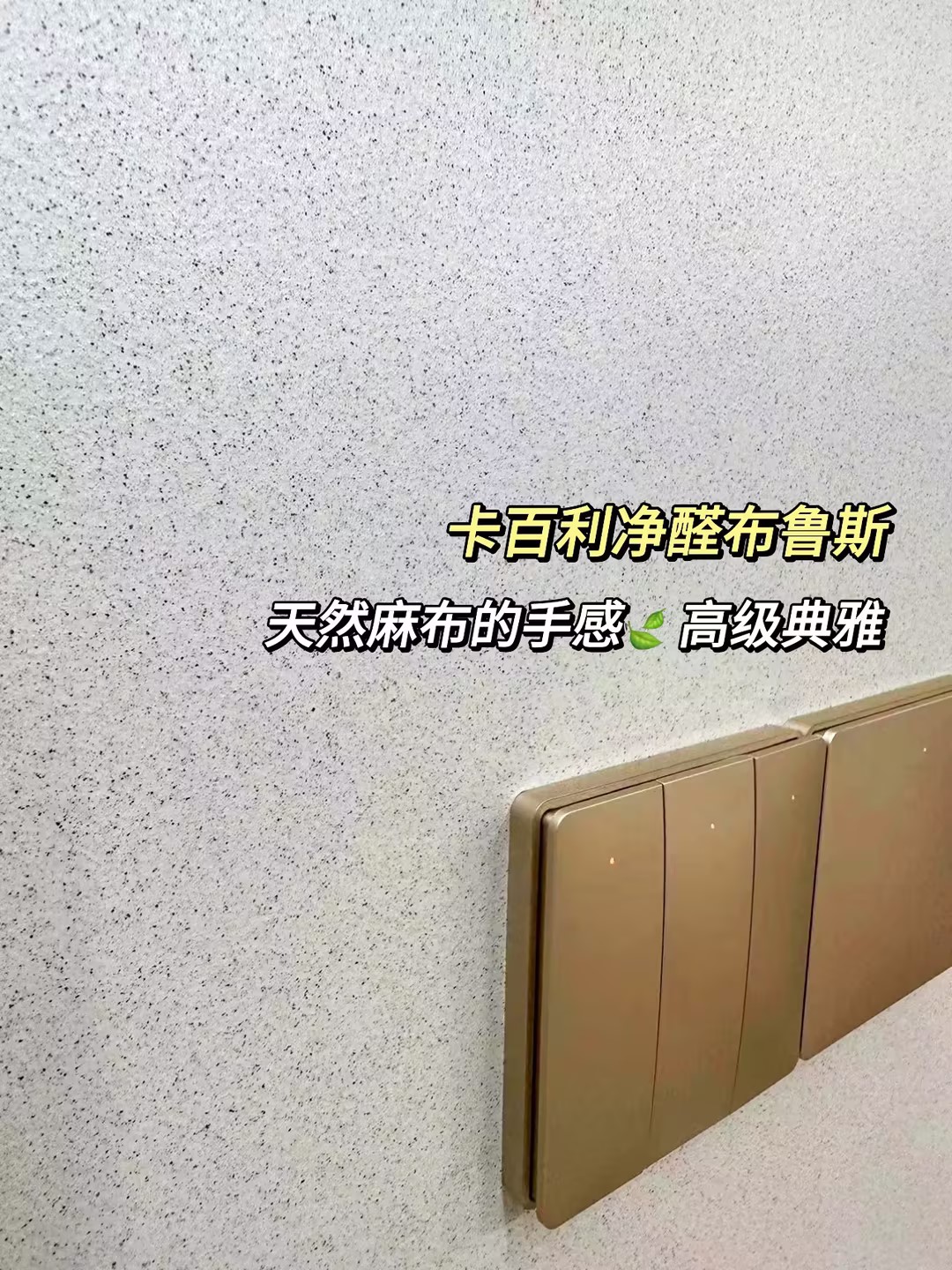 全屋通刷布魯斯藝術漆