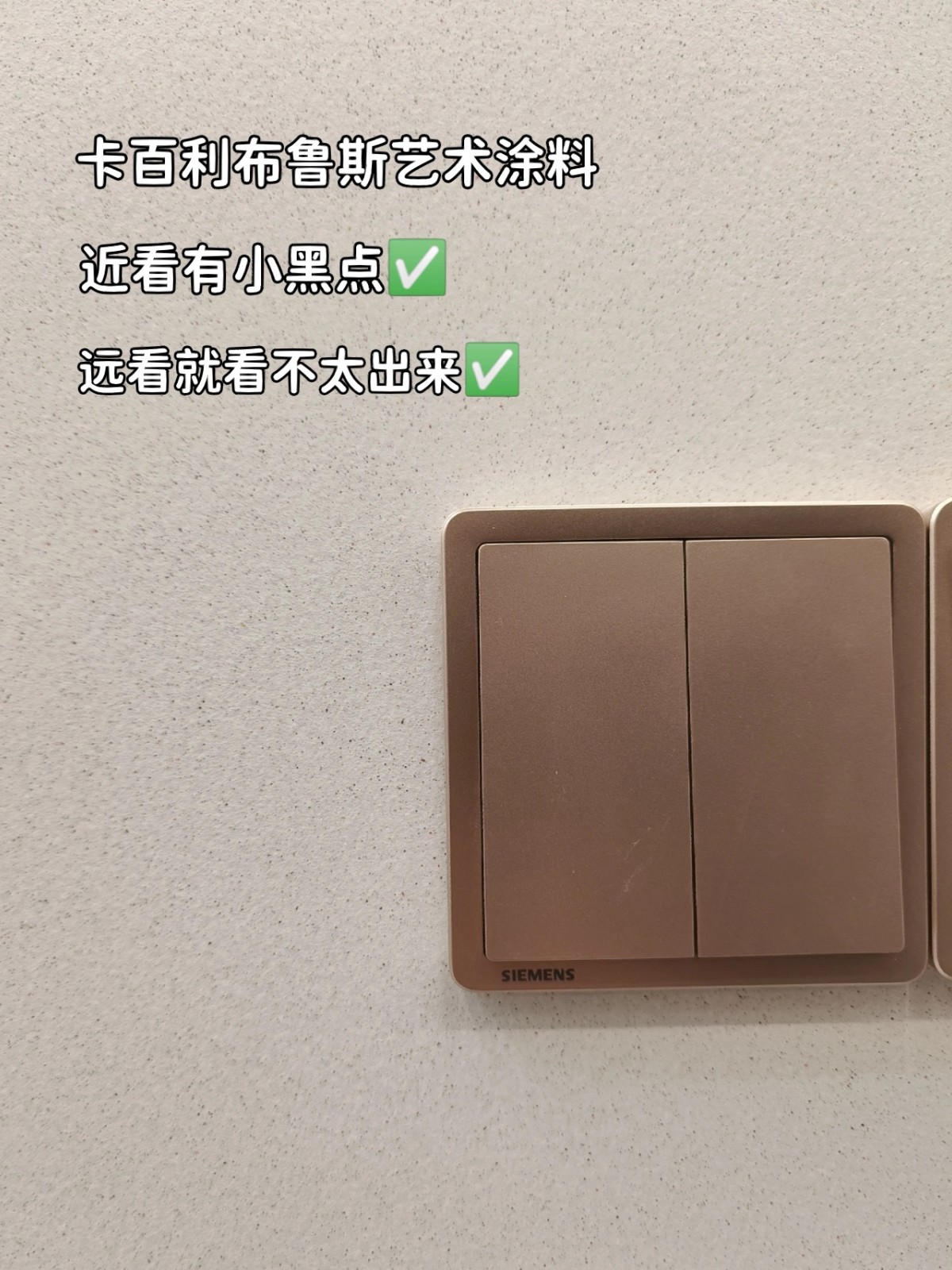 別墅裝修刷布魯斯藝術漆